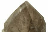 Huge, Smoky Quartz Crystal on Metal Stand - Brazil #219132-1